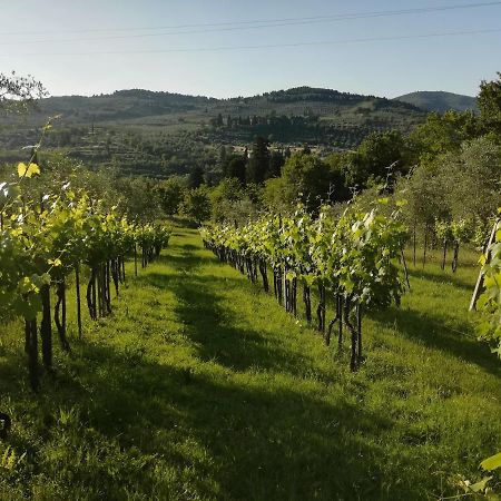 Villa Storica Di Majano Bagno a Ripoli Exteriör bild