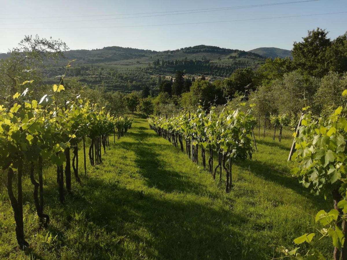 Villa Storica Di Majano Bagno a Ripoli Exteriör bild